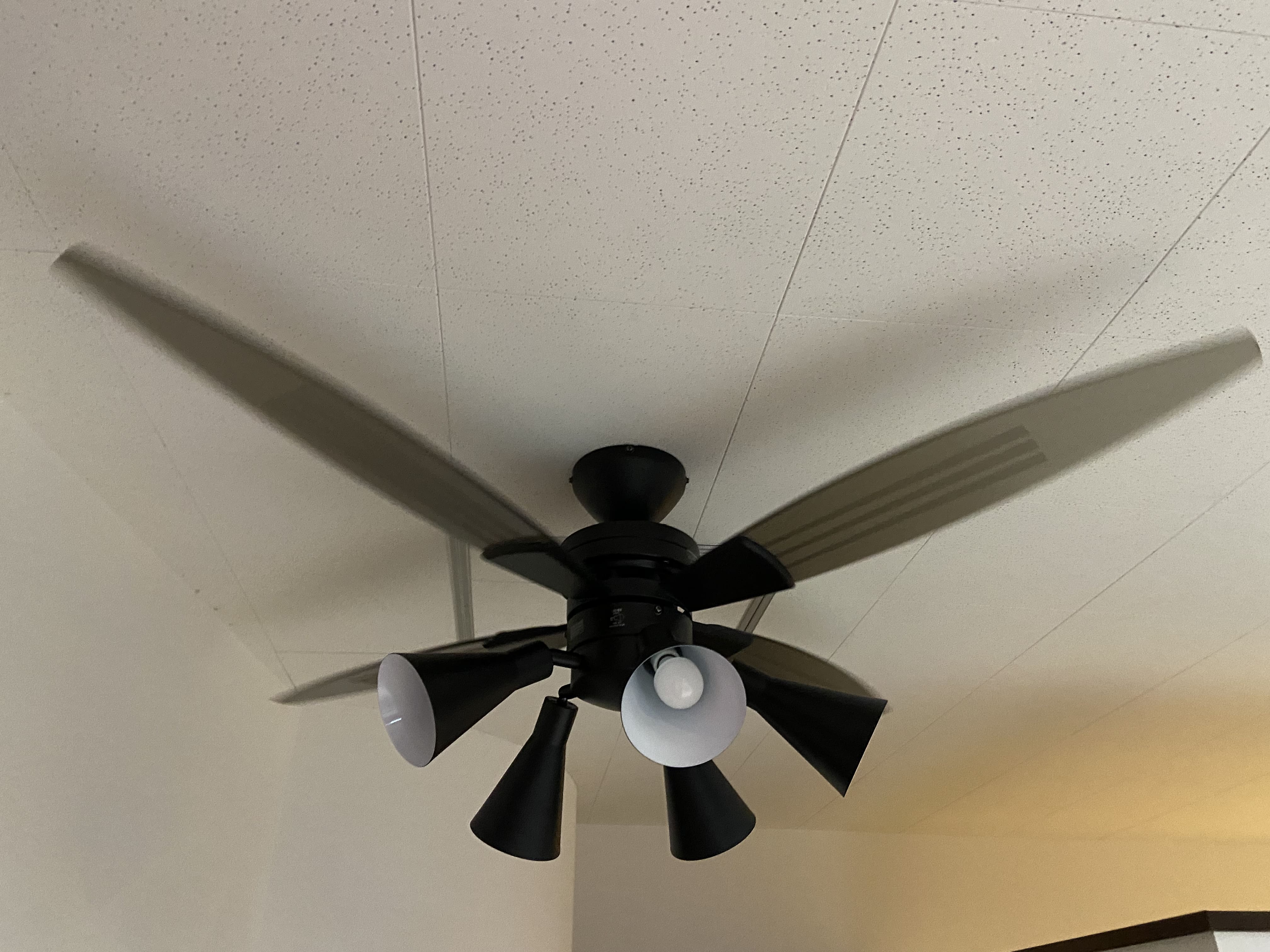 シーリングファン